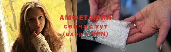 PSILOCYBIN Липки