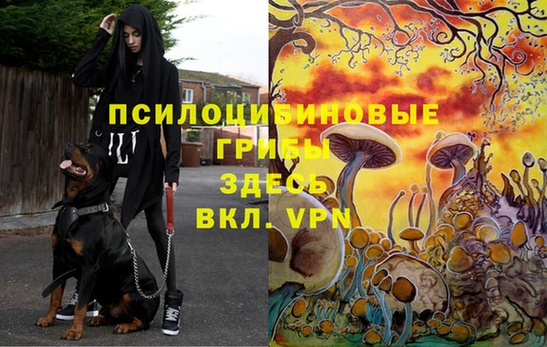 кокаин колумбия Лихославль
